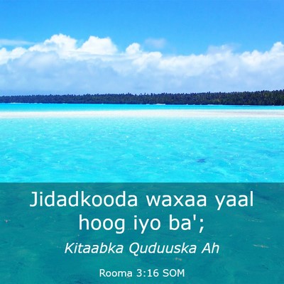 Picture 03 - Rooma 3:16 SOM - Jidadkooda waxaa yaal hoog iyo - Bible Verse Picture