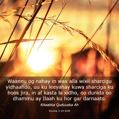 Picture 03 - Rooma 3:19 SOM - Waannu og nahay in wax alla wixii sharcigu - Bible Verse Picture