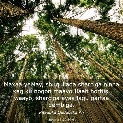 Picture 03 - Rooma 3:20 SOM - Maxaa yeelay, shuqullada sharciga ninna xaq ku - Bible Verse Picture