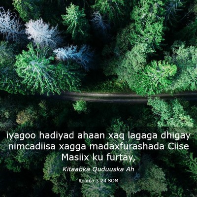 Picture 03 - Rooma 3:24 SOM - iyagoo hadiyad ahaan xaq lagaga dhigay nimcadiisa - Bible Verse Picture