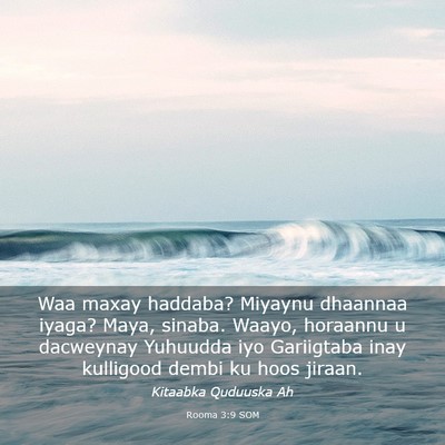 Picture 03 - Rooma 3:9 SOM - Waa maxay haddaba? Miyaynu dhaannaa iyaga? Maya, - Bible Verse Picture