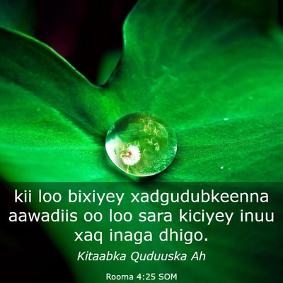Picture 03 - Rooma 4:25 SOM - kii loo bixiyey xadgudubkeenna aawadiis oo loo - Bible Verse Picture