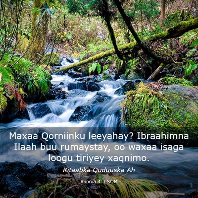 Picture 03 - Rooma 4:3 SOM - Maxaa Qorniinku leeyahay? Ibraahimna Ilaah buu - Bible Verse Picture