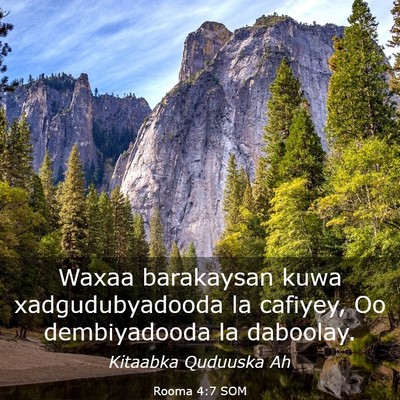 Picture 03 - Rooma 4:7 SOM - Waxaa barakaysan kuwa xadgudubyadooda la cafiyey, - Bible Verse Picture