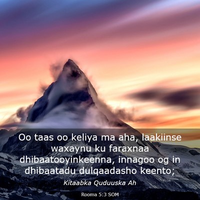 Picture 03 - Rooma 5:3 SOM - Oo taas oo keliya ma aha, laakiinse waxaynu ku - Bible Verse Picture