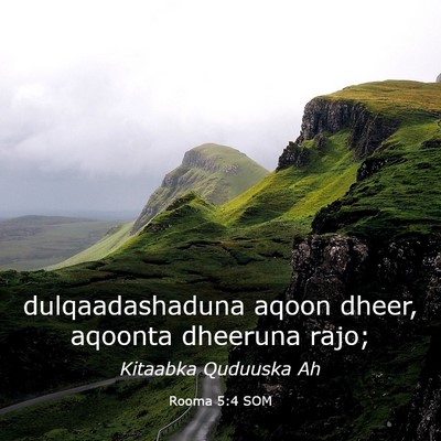 Picture 03 - Rooma 5:4 SOM - dulqaadashaduna aqoon dheer, aqoonta dheeruna - Bible Verse Picture