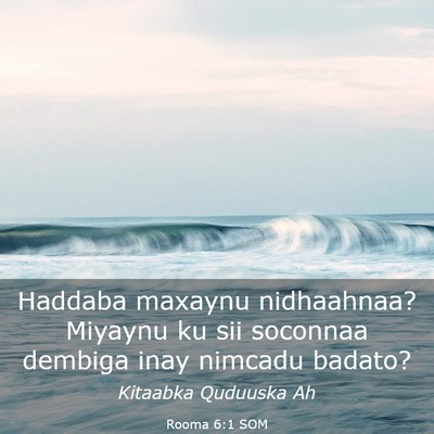 Picture 03 - Rooma 6:1 SOM - Haddaba maxaynu nidhaahnaa? Miyaynu ku sii - Bible Verse Picture