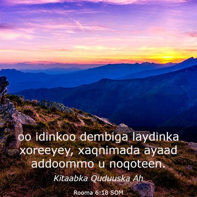 Picture 03 - Rooma 6:18 SOM - oo idinkoo dembiga laydinka xoreeyey, xaqnimada - Bible Verse Picture