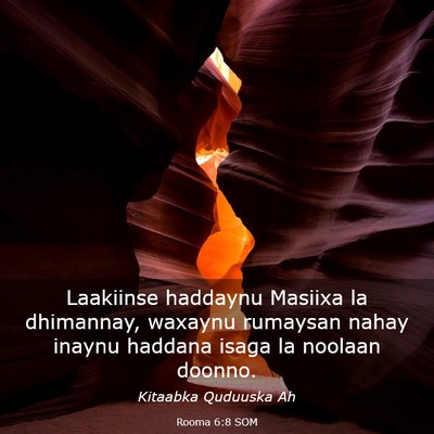 Picture 03 - Rooma 6:8 SOM - Laakiinse haddaynu Masiixa la dhimannay, waxaynu - Bible Verse Picture
