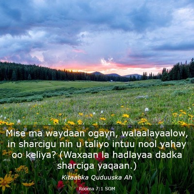 Picture 03 - Rooma 7:1 SOM - Mise ma waydaan ogayn, walaalayaalow, in sharcigu - Bible Verse Picture