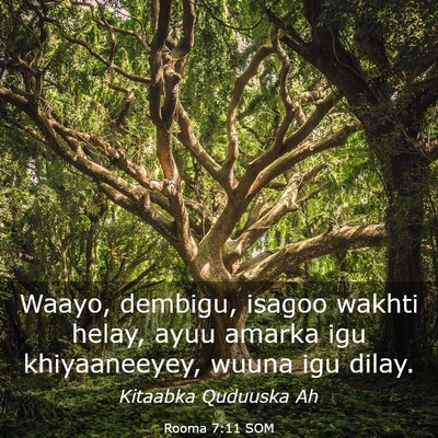 Picture 03 - Rooma 7:11 SOM - Waayo, dembigu, isagoo wakhti helay, ayuu amarka - Bible Verse Picture