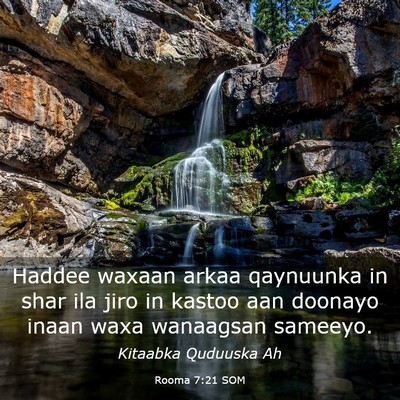 Picture 03 - Rooma 7:21 SOM - Haddee waxaan arkaa qaynuunka in shar ila jiro in - Bible Verse Picture