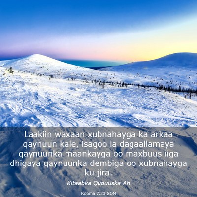 Picture 03 - Rooma 7:23 SOM - Laakiin waxaan xubnahayga ka arkaa qaynuun kale, - Bible Verse Picture