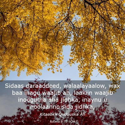 Picture 03 - Rooma 8:12 SOM - Sidaas daraaddeed, walaalayaalow, wax baa inagu - Bible Verse Picture