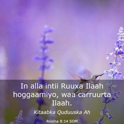 Picture 03 - Rooma 8:14 SOM - In alla intii Ruuxa Ilaah hoggaamiyo, waa - Bible Verse Picture