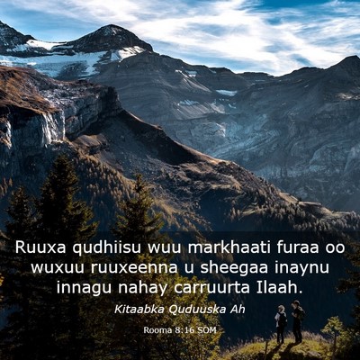 Picture 03 - Rooma 8:16 SOM - Ruuxa qudhiisu wuu markhaati furaa oo wuxuu - Bible Verse Picture