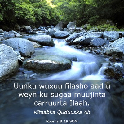 Picture 03 - Rooma 8:19 SOM - Uunku wuxuu filasho aad u weyn ku sugaa muujinta - Bible Verse Picture
