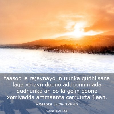 Picture 03 - Rooma 8:21 SOM - taasoo la rajaynayo in uunka qudhiisana laga - Bible Verse Picture