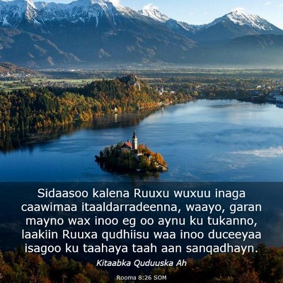 Picture 03 - Rooma 8:26 SOM - Sidaasoo kalena Ruuxu wuxuu inaga caawimaa - Bible Verse Picture