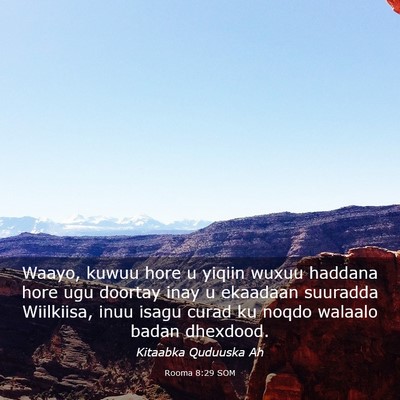 Picture 03 - Rooma 8:29 SOM - Waayo, kuwuu hore u yiqiin wuxuu haddana hore ugu - Bible Verse Picture