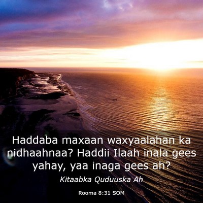 Picture 03 - Rooma 8:31 SOM - Haddaba maxaan waxyaalahan ka nidhaahnaa? Haddii - Bible Verse Picture