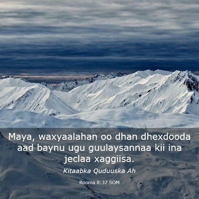 Picture 03 - Rooma 8:37 SOM - Maya, waxyaalahan oo dhan dhexdooda aad baynu ugu - Bible Verse Picture