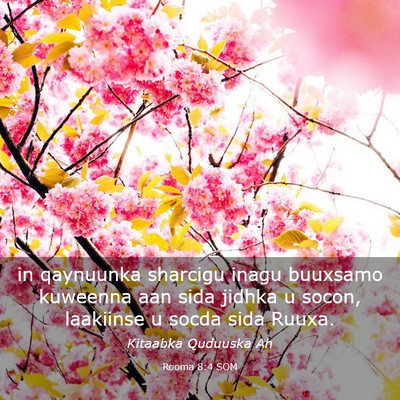 Picture 03 - Rooma 8:4 SOM - in qaynuunka sharcigu inagu buuxsamo kuweenna aan - Bible Verse Picture