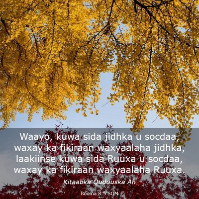 Picture 03 - Rooma 8:5 SOM - Waayo, kuwa sida jidhka u socdaa, waxay ka - Bible Verse Picture
