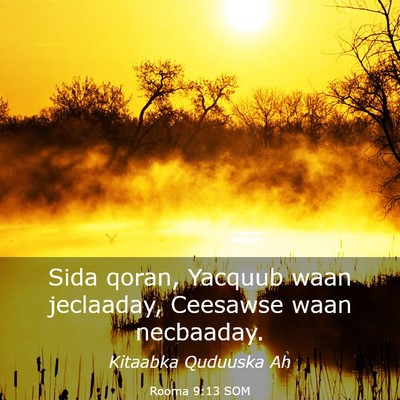 Picture 03 - Rooma 9:13 SOM - Sida qoran, Yacquub waan jeclaaday, Ceesawse waan - Bible Verse Picture