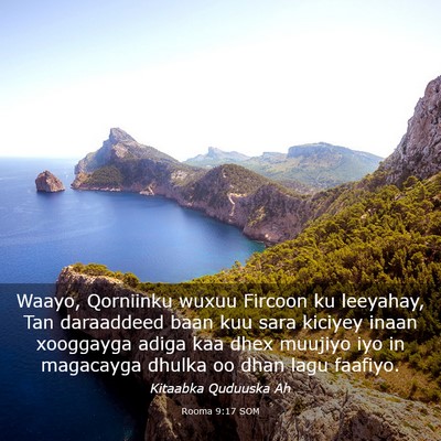 Picture 03 - Rooma 9:17 SOM - Waayo, Qorniinku wuxuu Fircoon ku leeyahay, Tan - Bible Verse Picture
