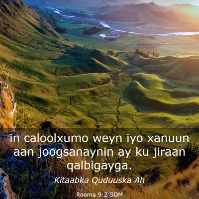 Picture 03 - Rooma 9:2 SOM - in caloolxumo weyn iyo xanuun aan joogsanaynin ay - Bible Verse Picture