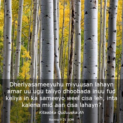 Picture 03 - Rooma 9:21 SOM - Dheriyasameeyuhu miyuusan lahayn amar uu ugu - Bible Verse Picture