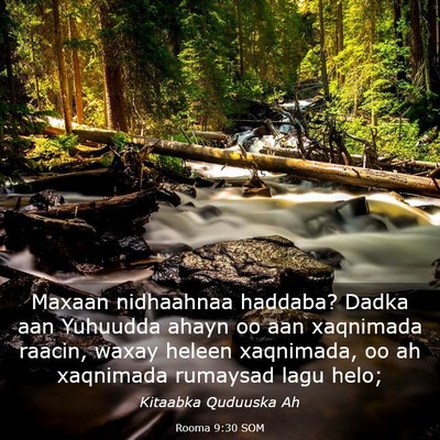 Picture 03 - Rooma 9:30 SOM - Maxaan nidhaahnaa haddaba? Dadka aan Yuhuudda - Bible Verse Picture