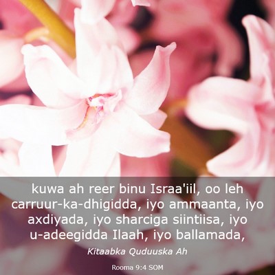 Picture 03 - Rooma 9:4 SOM - kuwa ah reer binu Israa'iil, oo leh - Bible Verse Picture