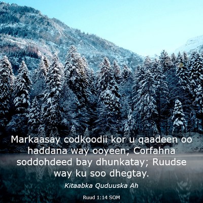 Picture 03 - Ruud 1:14 SOM - Markaasay codkoodii kor u qaadeen oo haddana way - Bible Verse Picture