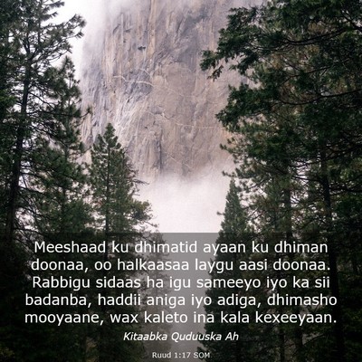 Picture 03 - Ruud 1:17 SOM - Meeshaad ku dhimatid ayaan ku dhiman doonaa, oo - Bible Verse Picture