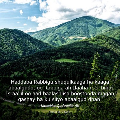 Picture 03 - Ruud 2:12 SOM - Haddaba Rabbigu shuqulkaaga ha kaaga abaalgudo, - Bible Verse Picture
