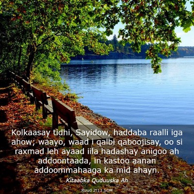 Picture 03 - Ruud 2:13 SOM - Kolkaasay tidhi, Sayidow, haddaba raalli iga - Bible Verse Picture