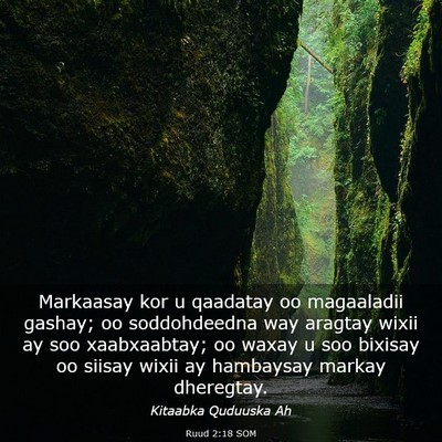 Picture 03 - Ruud 2:18 SOM - Markaasay kor u qaadatay oo magaaladii gashay; oo - Bible Verse Picture