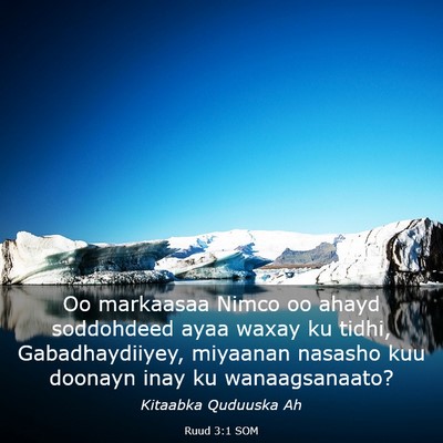 Picture 03 - Ruud 3:1 SOM - Oo markaasaa Nimco oo ahayd soddohdeed ayaa waxay - Bible Verse Picture