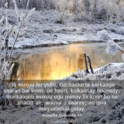 Picture 03 - Ruud 3:15 SOM - Oo wuxuu ku yidhi, Garbasaarta korkaaga saaran - Bible Verse Picture