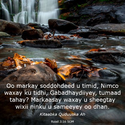 Picture 03 - Ruud 3:16 SOM - Oo markay soddohdeed u timid, Nimco waxay ku - Bible Verse Picture