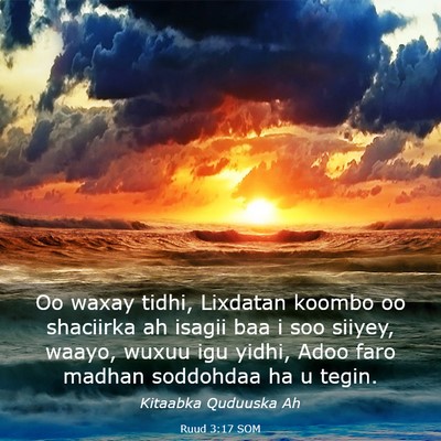 Picture 03 - Ruud 3:17 SOM - Oo waxay tidhi, Lixdatan koombo oo shaciirka ah - Bible Verse Picture
