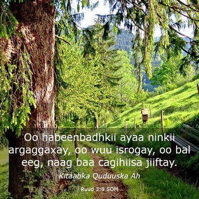 Picture 03 - Ruud 3:8 SOM - Oo habeenbadhkii ayaa ninkii argaggaxay, oo wuu - Bible Verse Picture