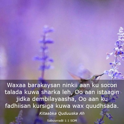 Picture 03 - Sabuurradii 1:1 SOM - Waxaa barakaysan ninkii aan ku socon talada kuwa - Bible Verse Picture