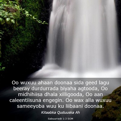 Picture 03 - Sabuurradii 1:3 SOM - Oo wuxuu ahaan doonaa sida geed lagu beeray - Bible Verse Picture