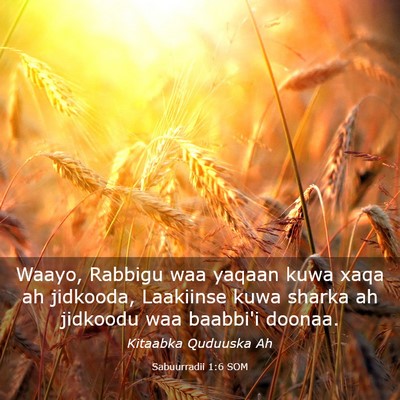 Picture 03 - Sabuurradii 1:6 SOM - Waayo, Rabbigu waa yaqaan kuwa xaqa ah jidkooda, - Bible Verse Picture