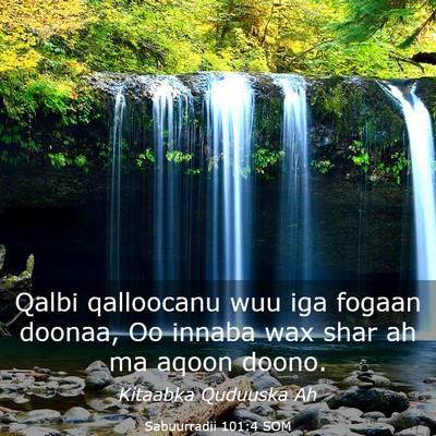 Picture 03 - Sabuurradii 101:4 SOM - Qalbi qalloocanu wuu iga fogaan doonaa, Oo innaba - Bible Verse Picture