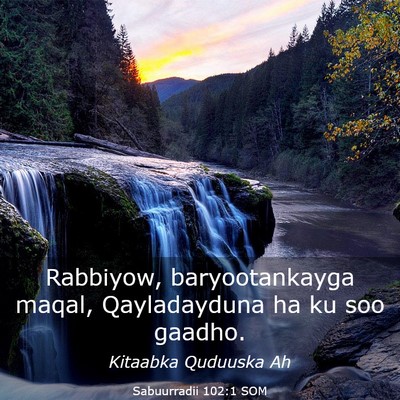 Picture 03 - Sabuurradii 102:1 SOM - Rabbiyow, baryootankayga maqal, Qayladayduna ha - Bible Verse Picture