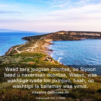 Picture 03 - Sabuurradii 102:13 SOM - Waad sara joogsan doontaa, oo Siyoon baad u - Bible Verse Picture